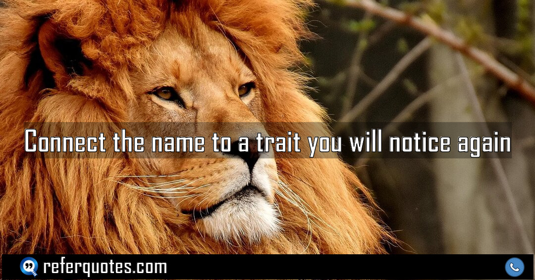 Connect the name to a trait you will Meaning Factcheck Usage