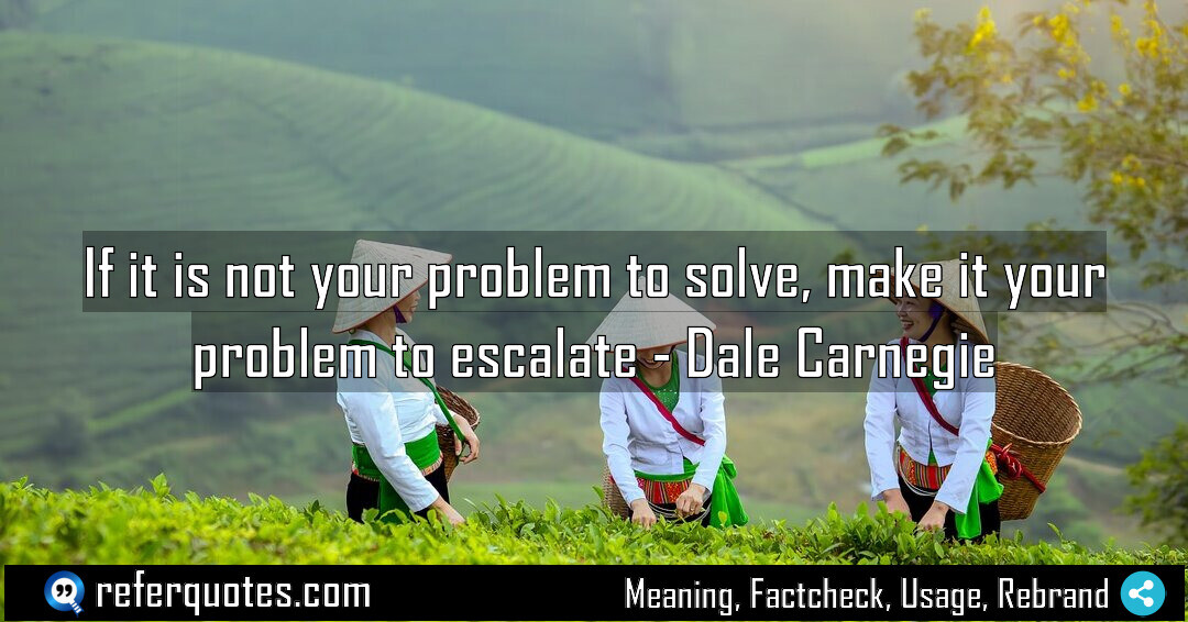 If it is not your problem to solve Meaning Factcheck Usage