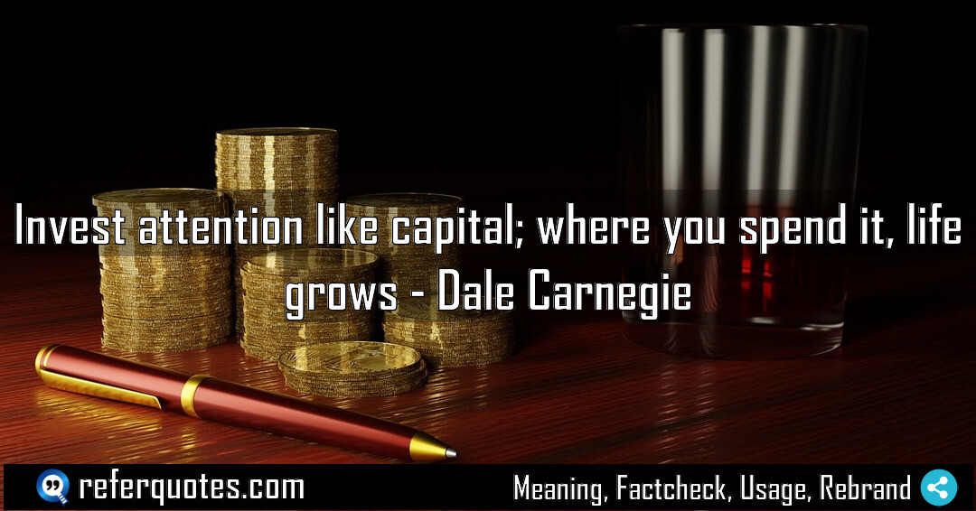 Invest attention like capital; where you spend it, life grows