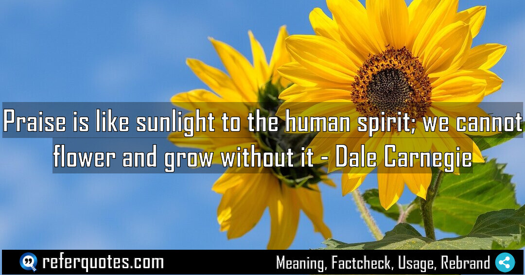 Praise is like sunlight to the human spirit; we cannot flower and grow without it