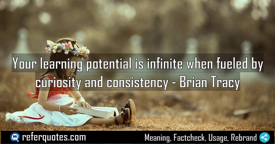 Your learning potential is infinite when fueled by Meaning Factcheck Usage